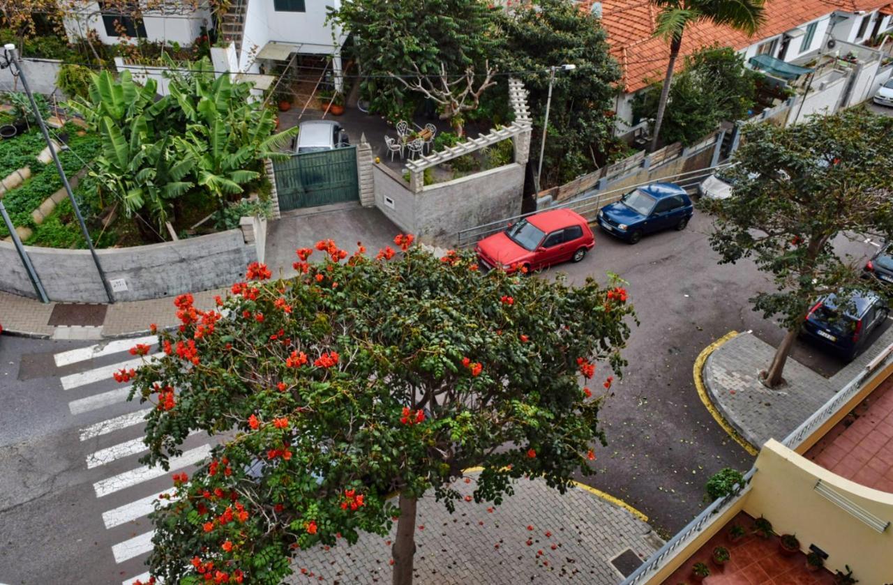 Perola, A Home In Madeira フンシャル エクステリア 写真